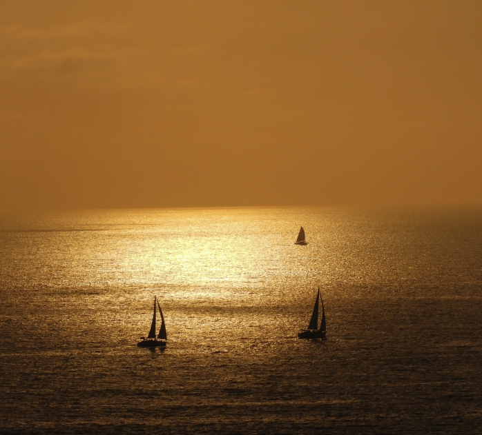 three sailboats at sunset